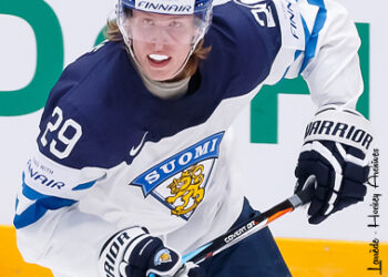 Anecdotes de novembre 2018