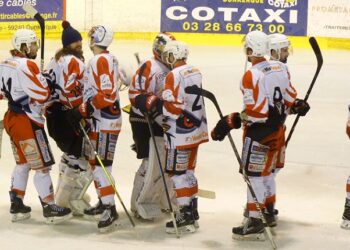 Dunkerque – La Roche-sur-Yon (Division 1, 17e journée)