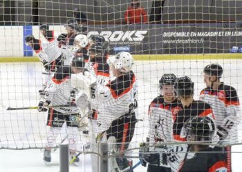 Wasquehal – Colmar (Division 2, poule A, 15e journée)