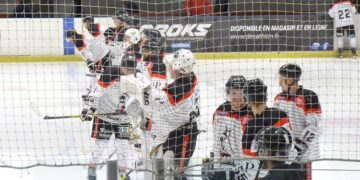 Wasquehal – Colmar (Division 2, poule A, 15e journée)