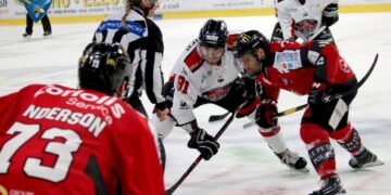 Amiens – Mulhouse (Ligue Magnus, 36e journée)