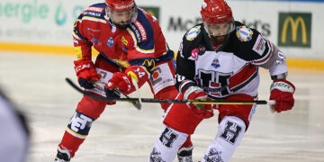 Grenoble – Anglet (Ligue Magnus, 42e journée)