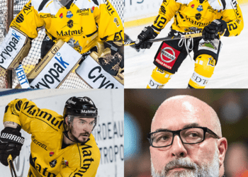 Magnus: Les trophées de Magnus Corsi