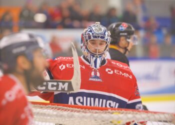 L’équipe-type de D1 élue par ses entraîneurs