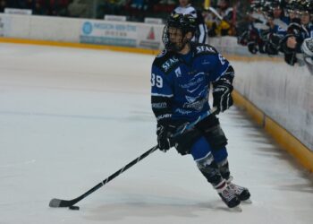 Présentation Magnus 2019/2020 (III) : Gap