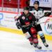 Amiens – Gap (Ligue Magnus, 6e journée)