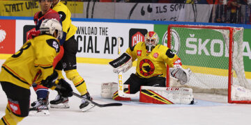 Grenoble – Berne (CHL, groupe E, 6e journée)