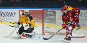 Grenoble – Nice (Ligue Magnus, 12e journée)