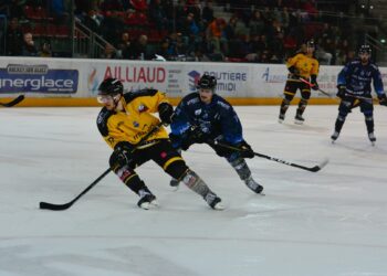 Gap – Nice (Ligue Magnus : 14e journée)