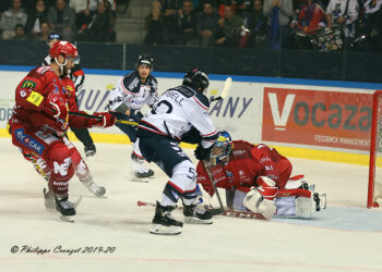 Grenoble – Angers (Ligue Magnus, 14e journée)