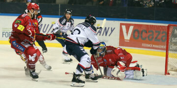 Grenoble – Angers (Ligue Magnus, 14e journée)
