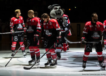 Anecdotes de septembre 2019