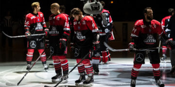 Anecdotes de septembre 2019