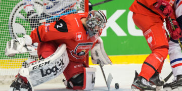 Hradec Králové – Mannheim (CHL, huitième de finale aller)