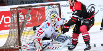 Bordeaux – Amiens (Ligue Magnus, 19e journée)