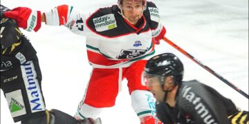 Rouen – Anglet (Ligue Magnus, 18e journée)
