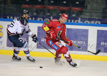 Grenoble – Angers (Ligue Magnus, 24e journée)