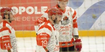 Wasquehal – Amnéville (Division 2, Poule A, 15e journée)