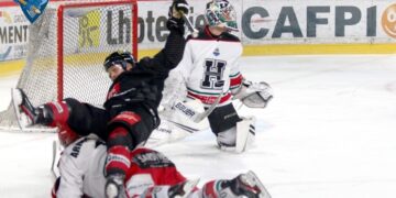 Amiens – Anglet (Ligue Magnus, 37e journée)