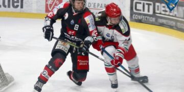 Amiens – Anglet (Ligue Magnus, 37e journée)