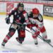 Amiens – Anglet (Ligue Magnus, 37e journée)