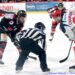 Amiens – Grenoble (Ligue Magnus, 39e journée)