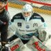 Rouen – Gap (Ligue Magnus, 34e journée)