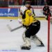 Amiens – Nice (Ligue Magnus, 41e journée)