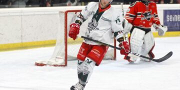 L&rsquo;équipe-type 2019-2020 de Division 1, élue par les entraîneurs