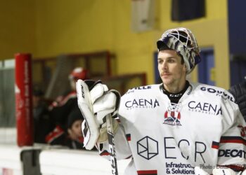 L&rsquo;équipe-type 2019-2020 de Division 1, élue par les entraîneurs