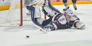 2020 Angers Hardy Florian