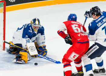 2020 11 07 Finlande Tcheque