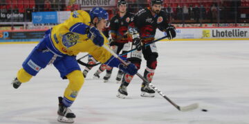 img 6891