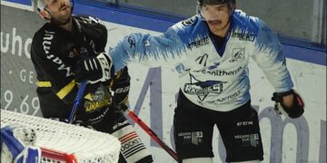 1031 nesalanglais 20211106