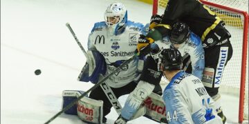 ill593 junca 20220123