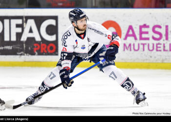 llorca vincent angers ext