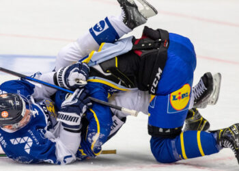 swe fin ilu ceskehry 22