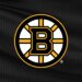 boston bruins