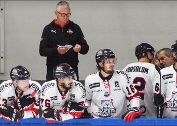 dimetolivier bordeaux 20220823135