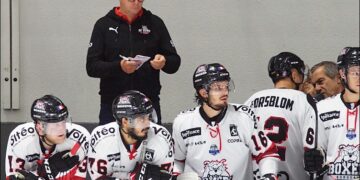 dimetolivier bordeaux 20220823135