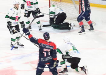 20221014205531 img 5349