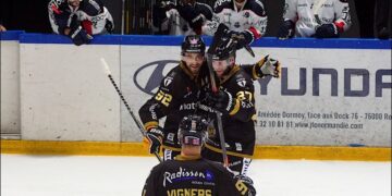 illustration rouenangers 20221025786