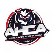 angers ahca