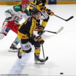 320 illustrationrouenanglet 20221227320