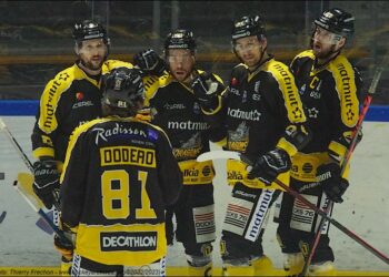 illustration rouennice 20221206069