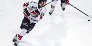 2023 bordeaux carry 4