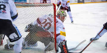 NL2223-GSHC-HCFG