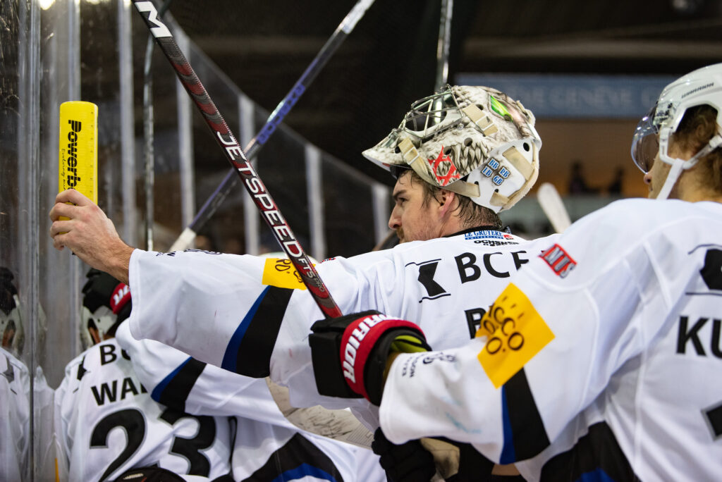 NL2223-GSHC-HCFG
