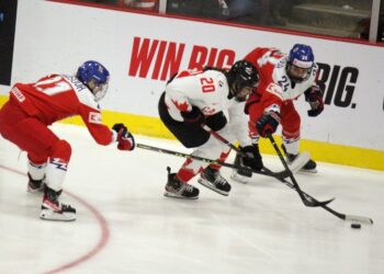 230407 czecan nurse vanisova cajanova