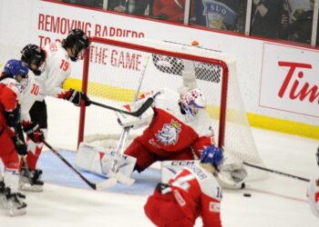 230407 czecan skodova arret